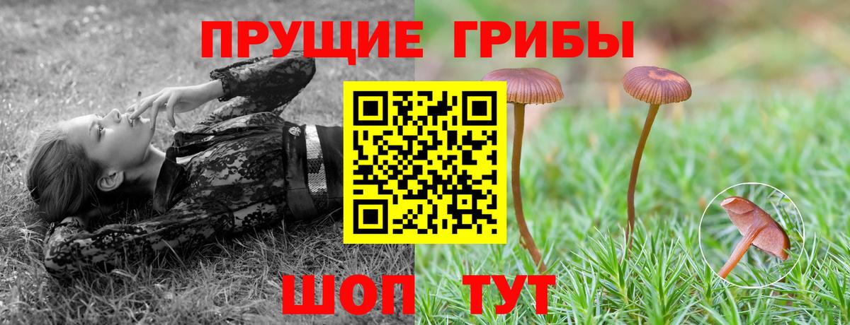 Галлюциногенные грибы Magic Shrooms  Псилоцибиновые грибы MAGIC MUSHROOMS  Вход с VPN  Междуреченск 