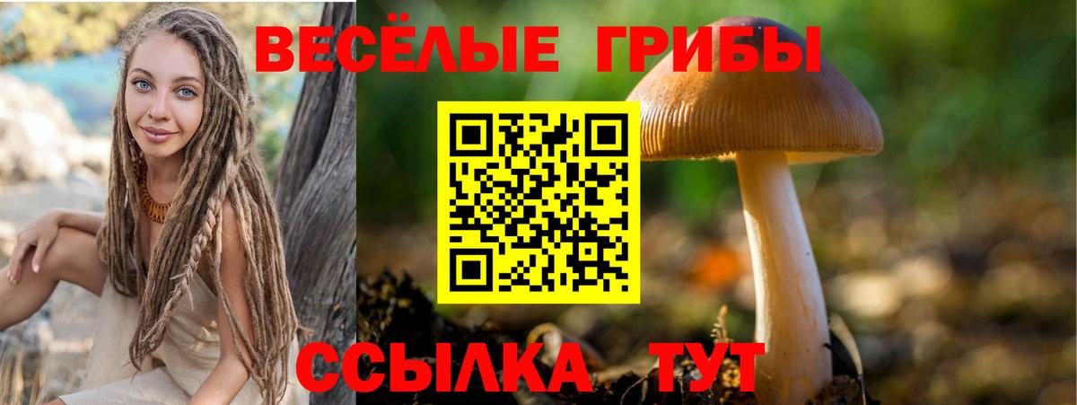 Галлюциногенные грибы Psilocybine cubensis Междуреченск
